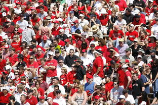 联赛观察：积分赛积分榜突变，季后赛席位争夺激烈，积分赛阵容查询